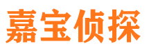 白城市侦探公司